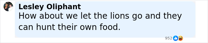 Viral Jokes After Zoo Releases Statement Asking People To Donate Pets So Their Animals Can Eat