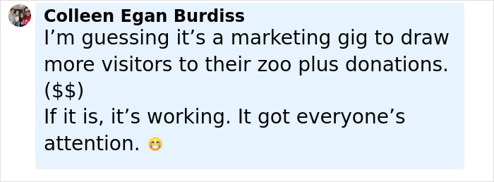 Viral Jokes After Zoo Releases Statement Asking People To Donate Pets So Their Animals Can Eat