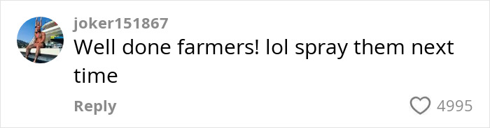 Photographer Reveals The Full Story After Farmer Goes Viral For Spraying Squatters With Manure