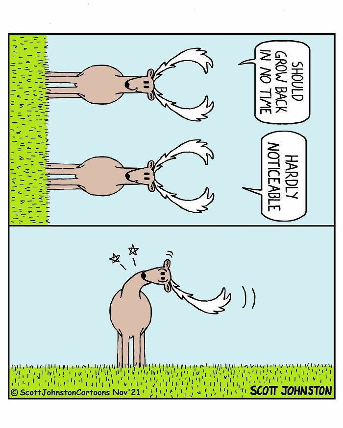 Scott Johnston’s Latest 48 Humorous Comics That Might Make Your Day