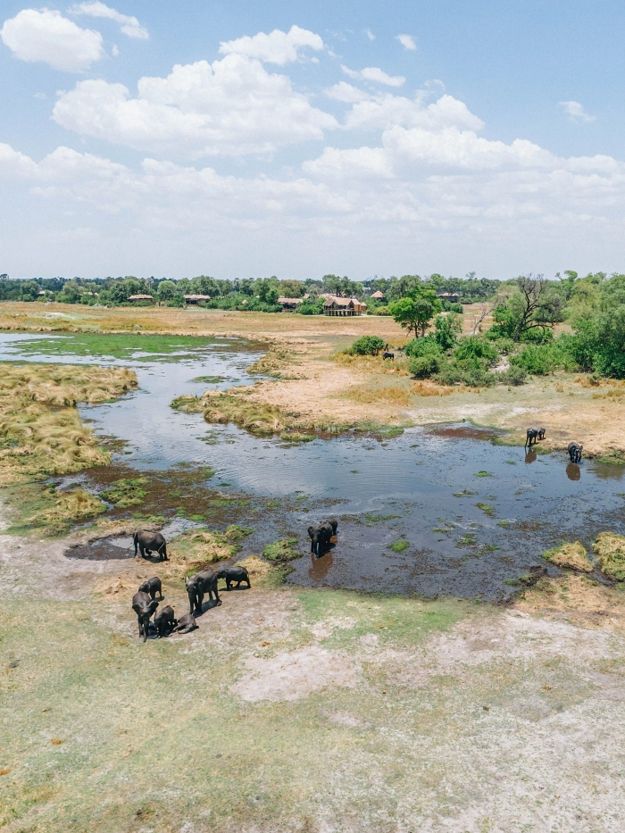 The Okavango Delta Is Africa’s Hidden Eden: My 33 Photos With Facts Prove Why