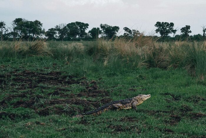 The Okavango Delta Is Africa’s Hidden Eden: My 33 Photos With Facts Prove Why