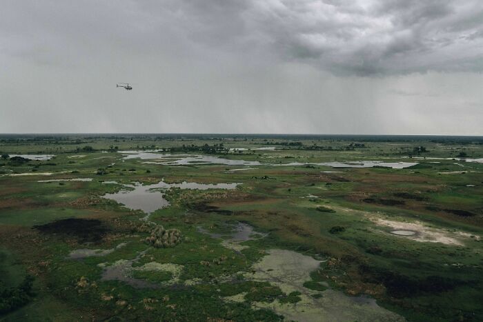 The Okavango Delta Is Africa’s Hidden Eden: My 33 Photos With Facts Prove Why