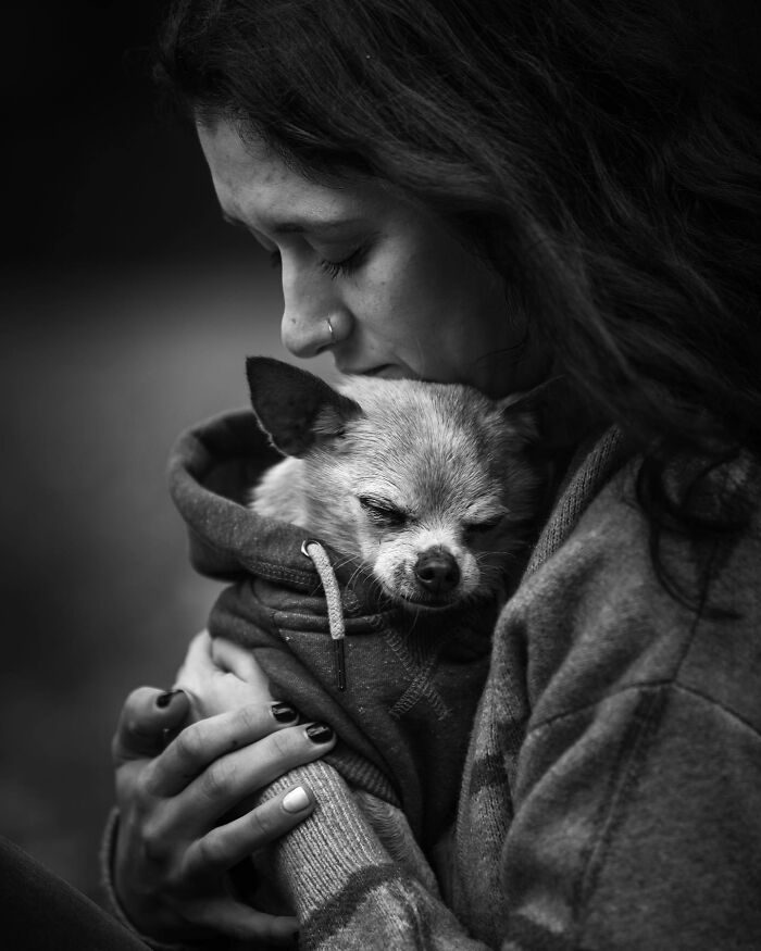 23 Touching Photos That Capture The Final Moments Between Pets And Their Humans