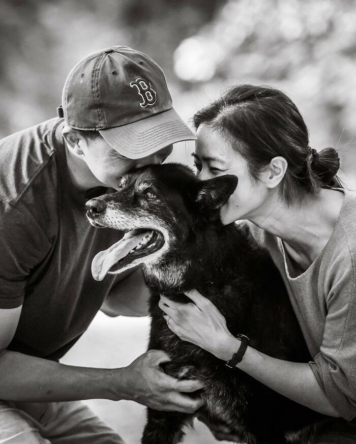 23 Touching Photos That Capture The Final Moments Between Pets And Their Humans