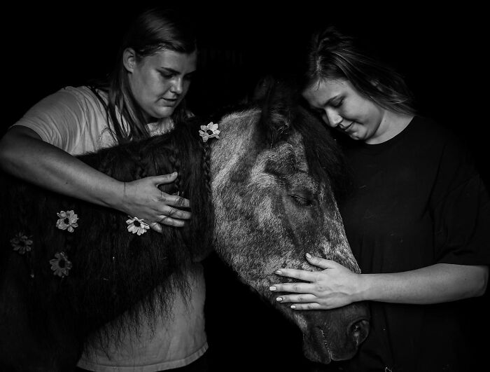 23 Touching Photos That Capture The Final Moments Between Pets And Their Humans
