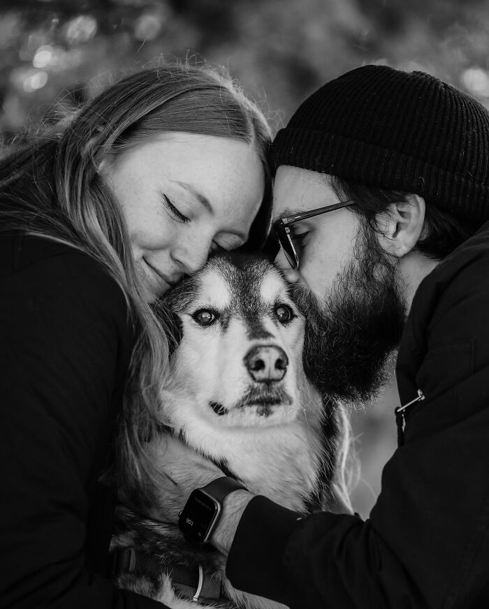 23 Touching Photos That Capture The Final Moments Between Pets And Their Humans