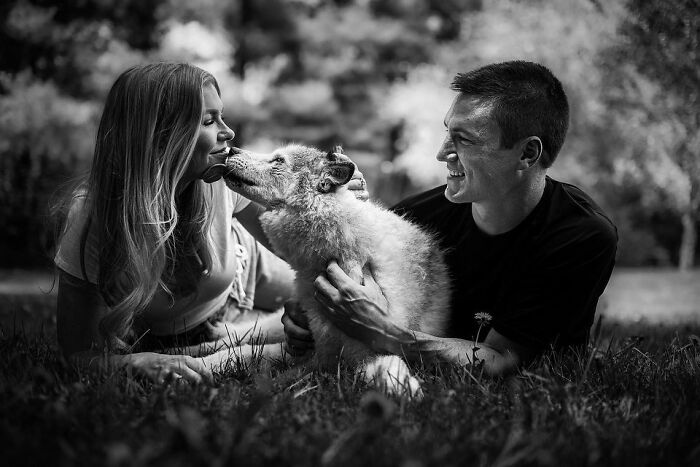 23 Touching Photos That Capture The Final Moments Between Pets And Their Humans