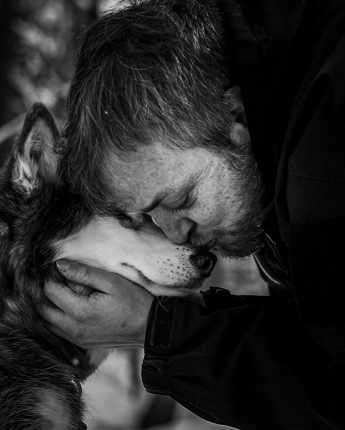 23 Touching Photos That Capture The Final Moments Between Pets And Their Humans
