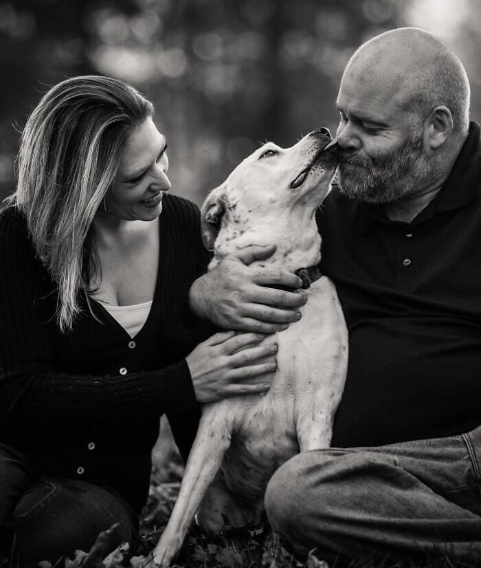 23 Touching Photos That Capture The Final Moments Between Pets And Their Humans