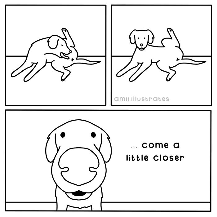 86 Humorous Comics By Amii James That Will Hopefully Add Some Laughter To Your Day (New Pics)
