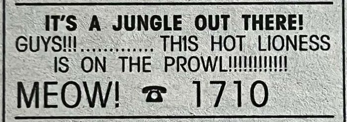 “Ex-Nun Starved For Romance”: 85 Ads From The “Personals” Column That Show People Haven’t Changed