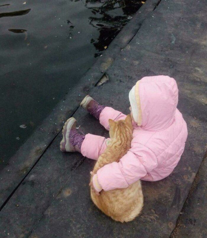 117 Cats Doing Cat Shenanigans And Being Cute At The Same Time