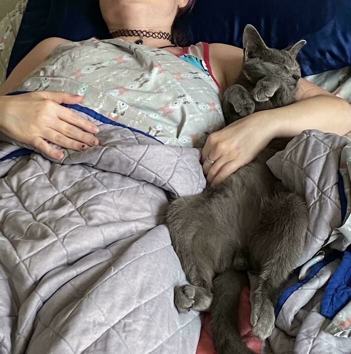 117 Cats Doing Cat Shenanigans And Being Cute At The Same Time