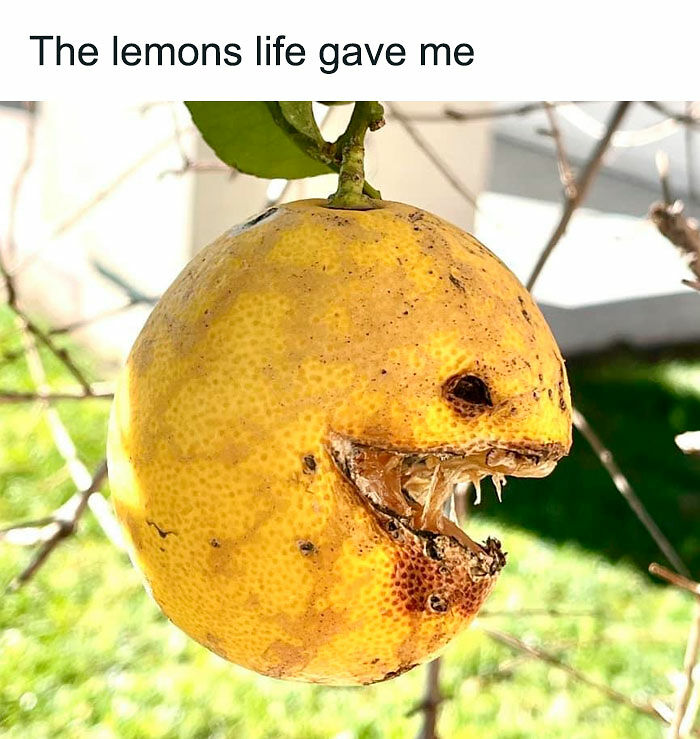 106 Creepy But Funny Memes For People Who Love Their Humor Like Their Coffee: Black