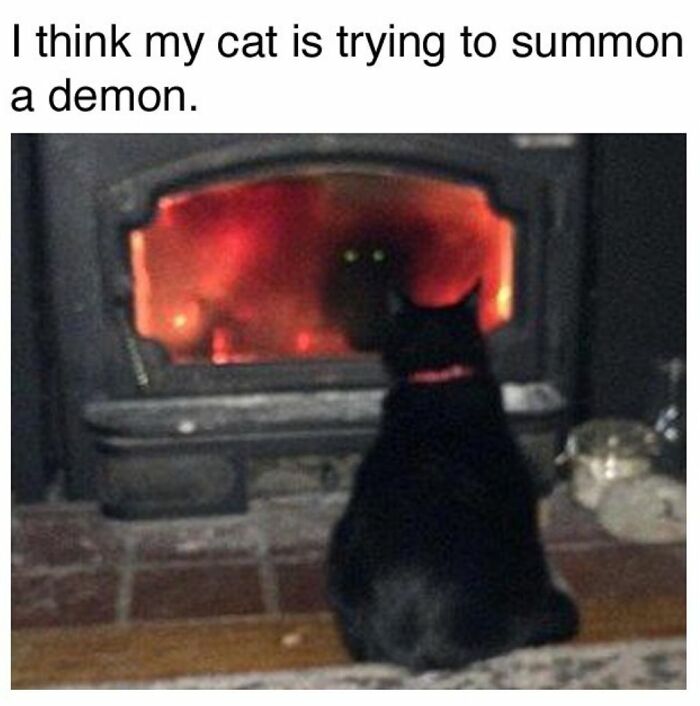 106 Creepy But Funny Memes For People Who Love Their Humor Like Their Coffee: Black
