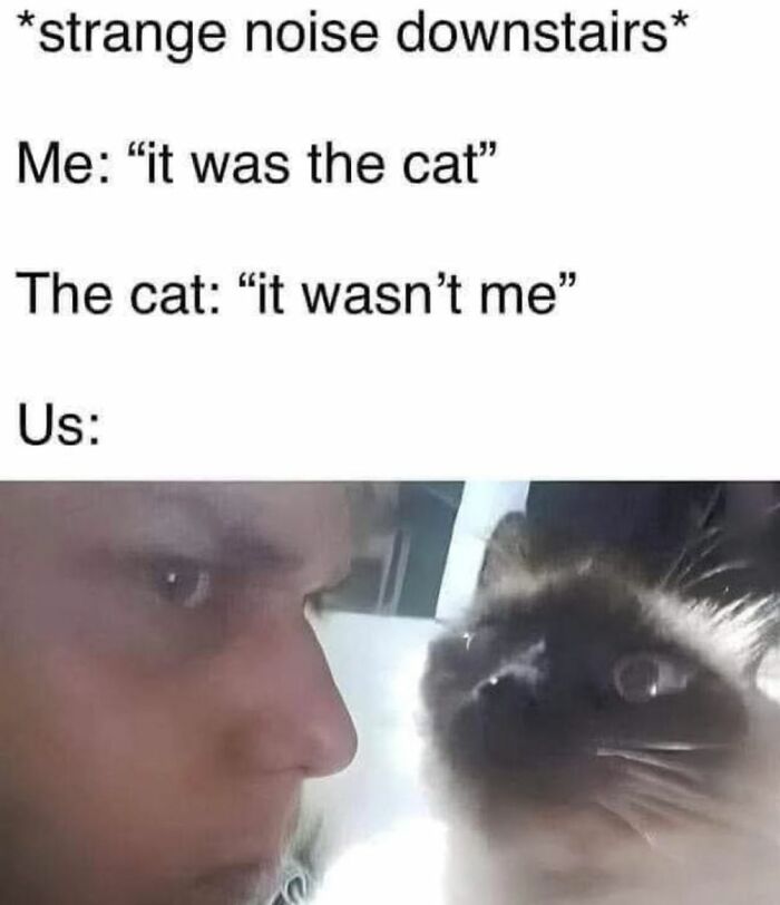 106 Creepy But Funny Memes For People Who Love Their Humor Like Their Coffee: Black