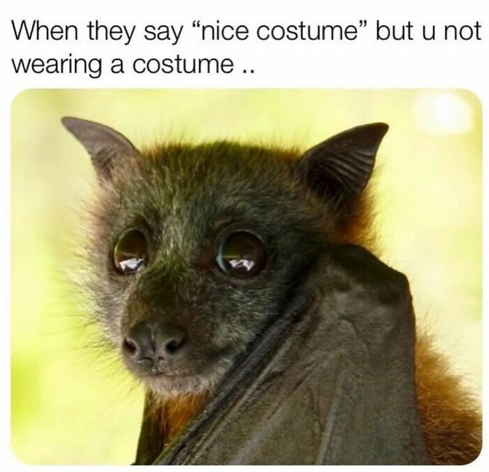 106 Creepy But Funny Memes For People Who Love Their Humor Like Their Coffee: Black