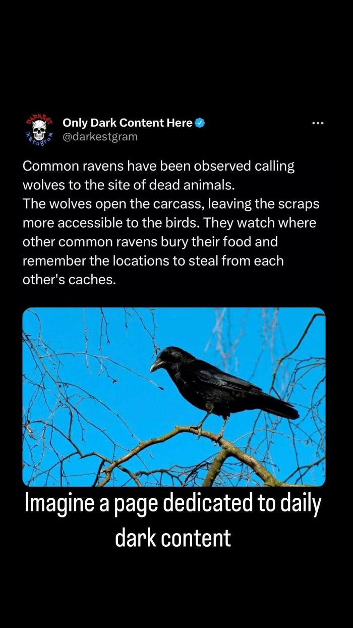 ‘Darkest Page On Instagram’: 75 Creepy Stories To Spook You And Your Friends