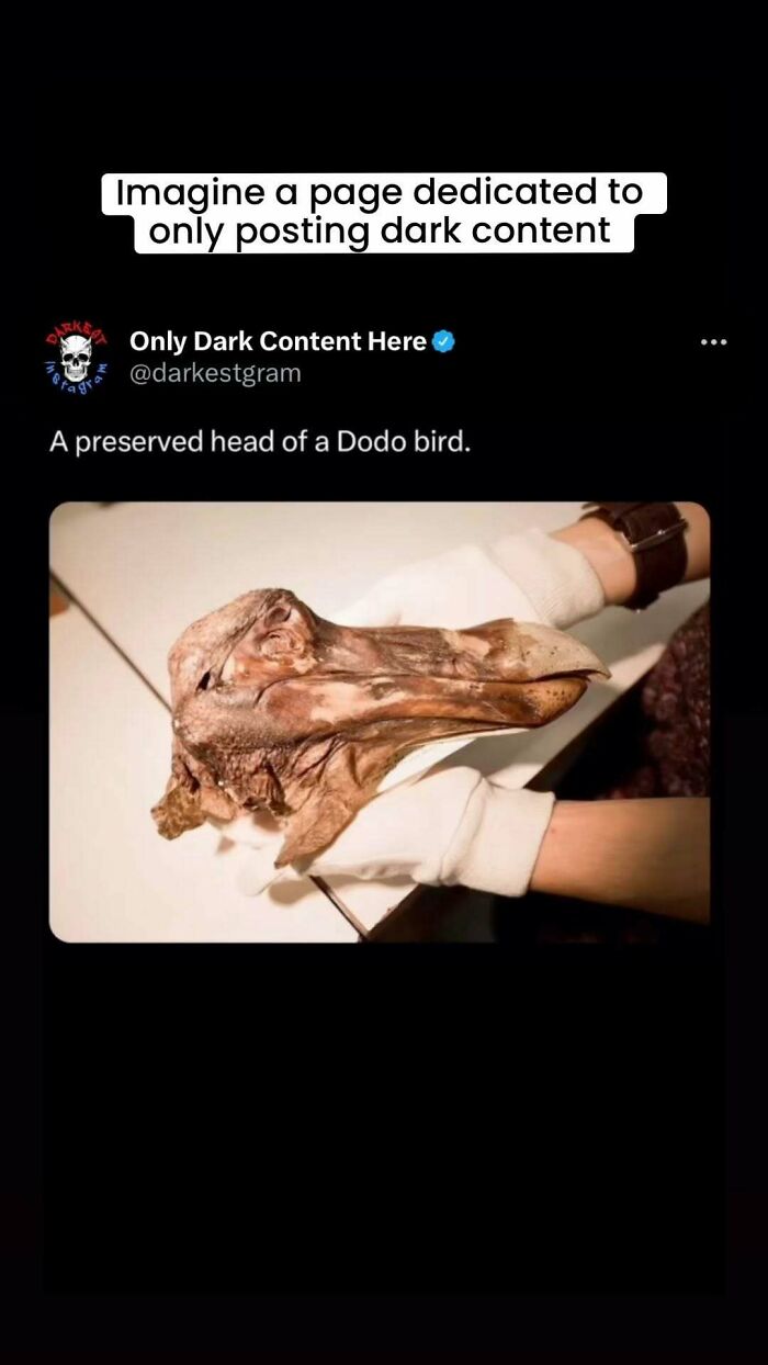 ‘Darkest Page On Instagram’: 75 Creepy Stories To Spook You And Your Friends