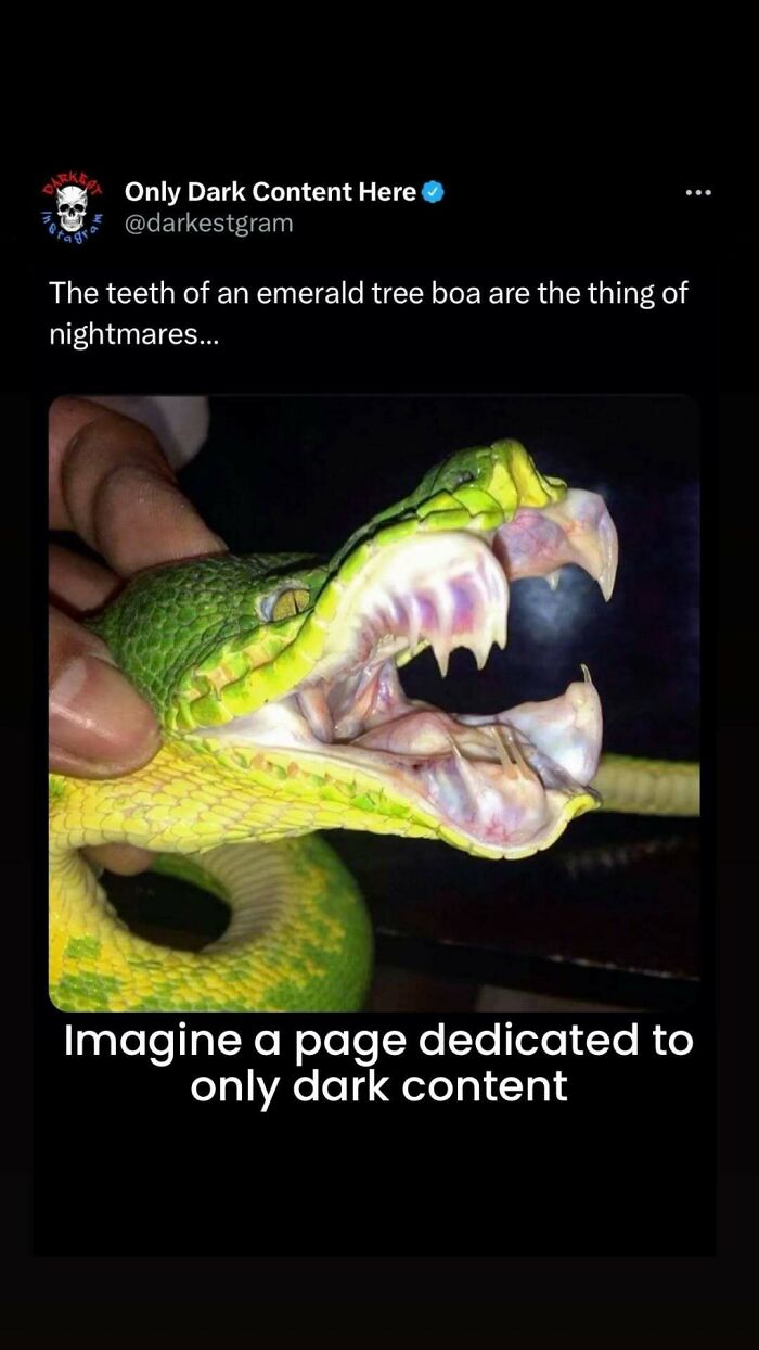 ‘Darkest Page On Instagram’: 75 Creepy Stories To Spook You And Your Friends