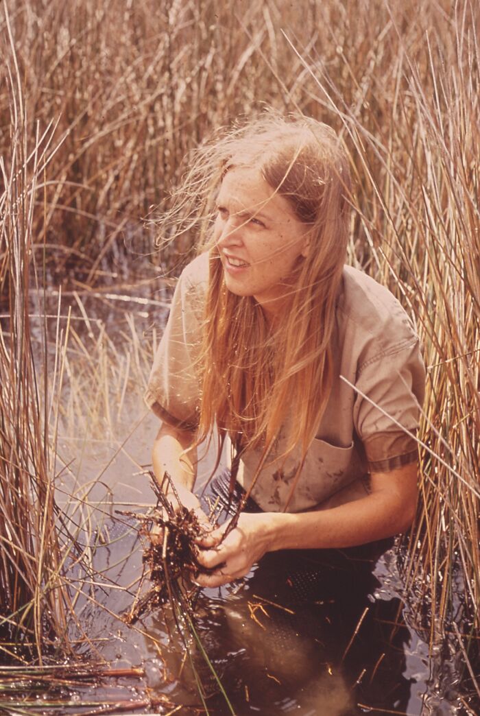 32 Fascinating Photos Of Women In Florida Breaking Barriers In The 1970s