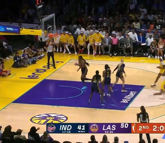 Viral Footage Of Flying Adult Toy Hitting WNBA Star During Game Sparks Hilarious Reactions
