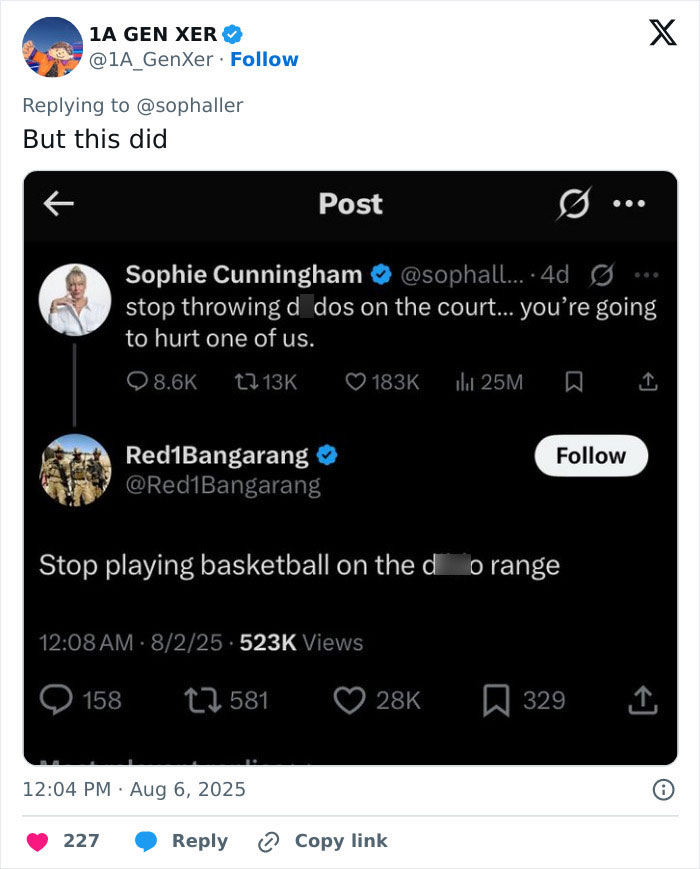Viral Footage Of Flying Adult Toy Hitting WNBA Star During Game Sparks Hilarious Reactions