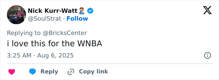 Viral Footage Of Flying Adult Toy Hitting WNBA Star During Game Sparks Hilarious Reactions