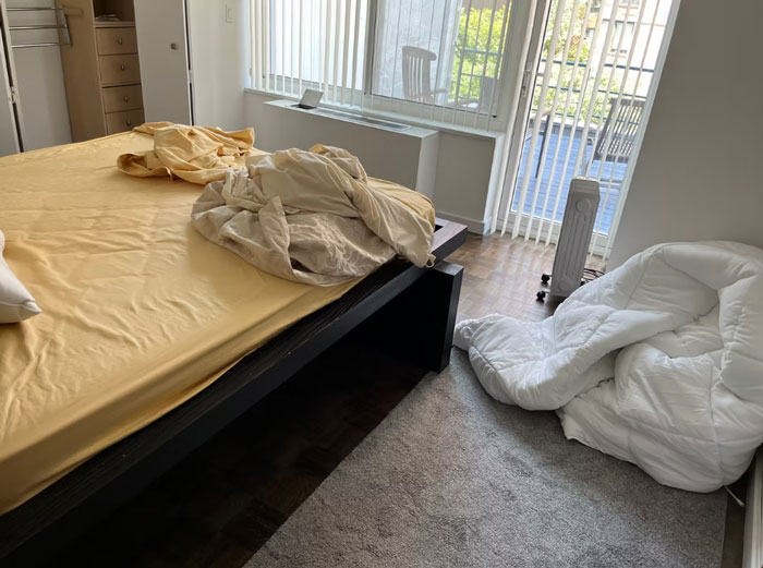 Woman Quits Paying Rent And Wrecks Apartment, Landlord Sets Up Website To Defame Her As Revenge