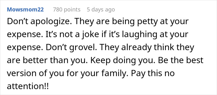 “AITA For Telling My In-Laws To Get A Job?”