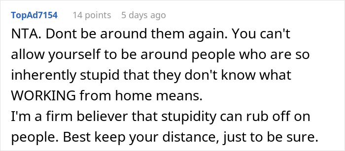 “AITA For Telling My In-Laws To Get A Job?”