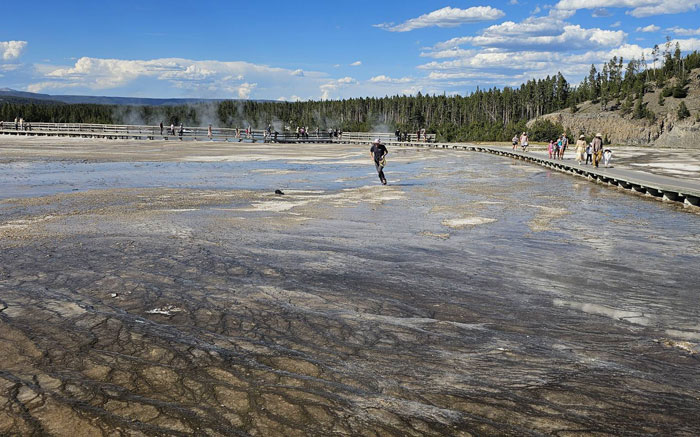 &#8220;And These People Reproduce&#8221;: Guy Violates Yellowstone Trespassing Rules, Netizens Respond Wittily