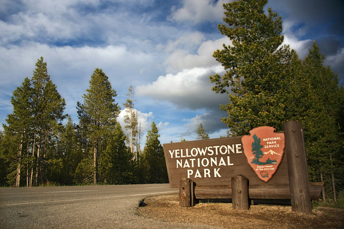 &#8220;And These People Reproduce&#8221;: Guy Violates Yellowstone Trespassing Rules, Netizens Respond Wittily