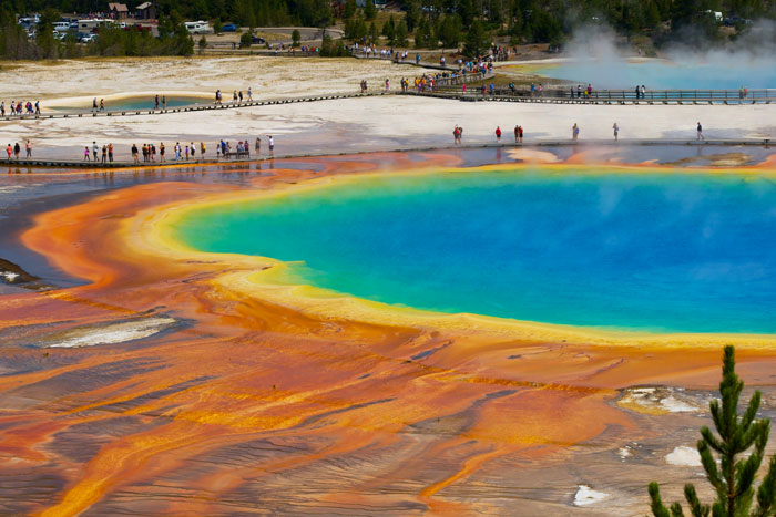 &#8220;And These People Reproduce&#8221;: Guy Violates Yellowstone Trespassing Rules, Netizens Respond Wittily