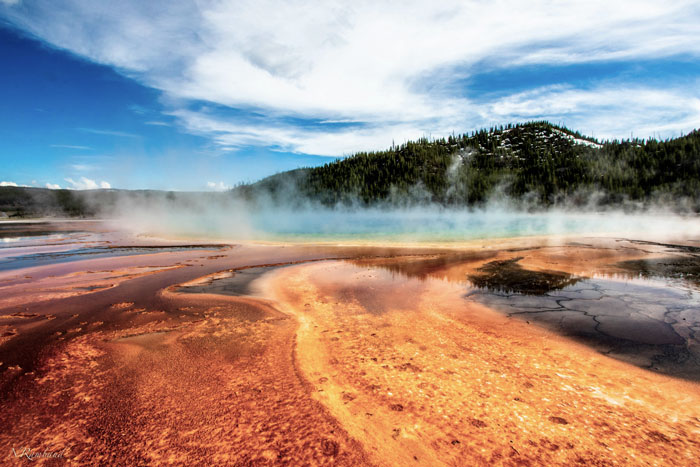 &#8220;And These People Reproduce&#8221;: Guy Violates Yellowstone Trespassing Rules, Netizens Respond Wittily