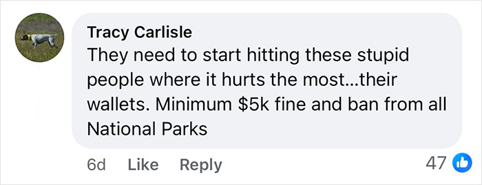 &#8220;And These People Reproduce&#8221;: Guy Violates Yellowstone Trespassing Rules, Netizens Respond Wittily