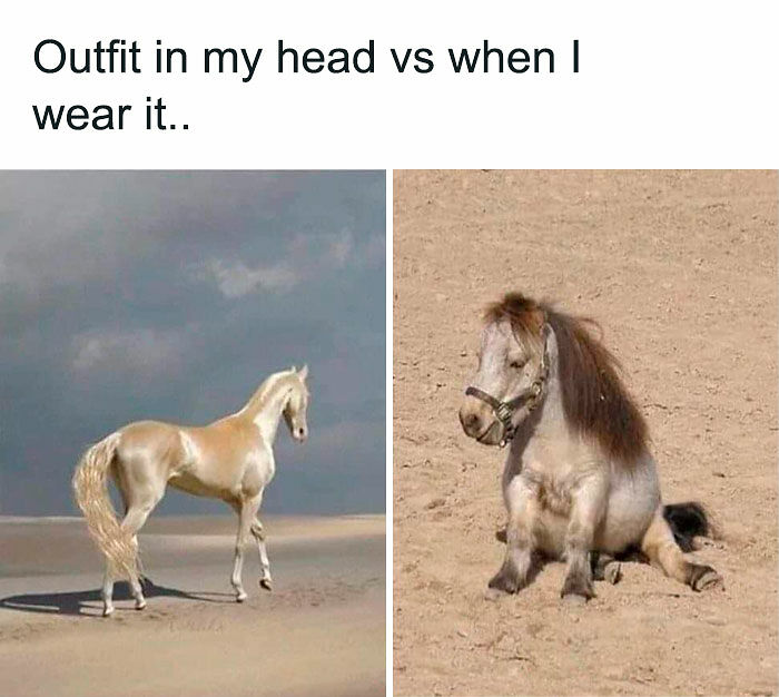 74 Funny Memes That Hit You Right In The “Too Real” Part Of The Brain