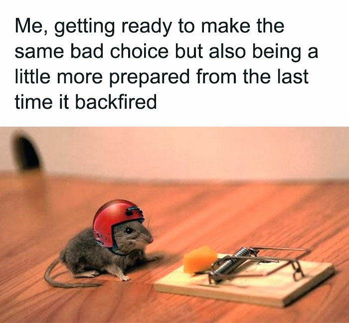 74 Funny Memes That Hit You Right In The “Too Real” Part Of The Brain