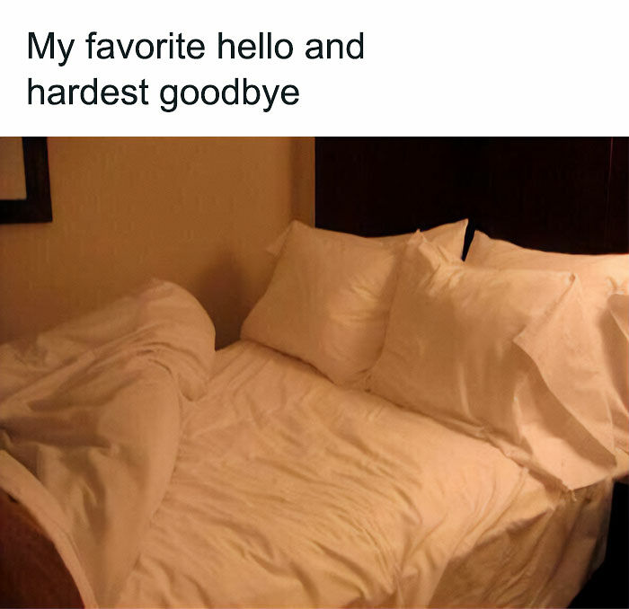 74 Funny Memes That Hit You Right In The “Too Real” Part Of The Brain