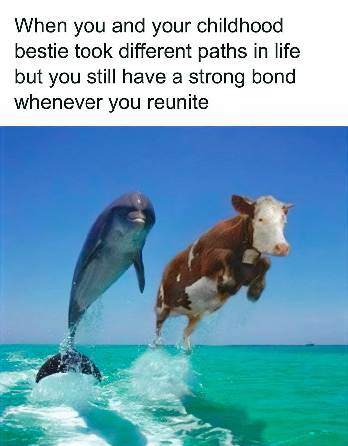 74 Funny Memes That Hit You Right In The “Too Real” Part Of The Brain