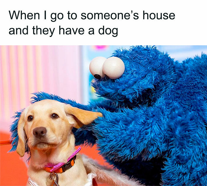 74 Funny Memes That Hit You Right In The “Too Real” Part Of The Brain