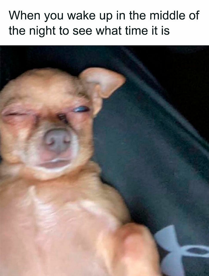 74 Funny Memes That Hit You Right In The “Too Real” Part Of The Brain