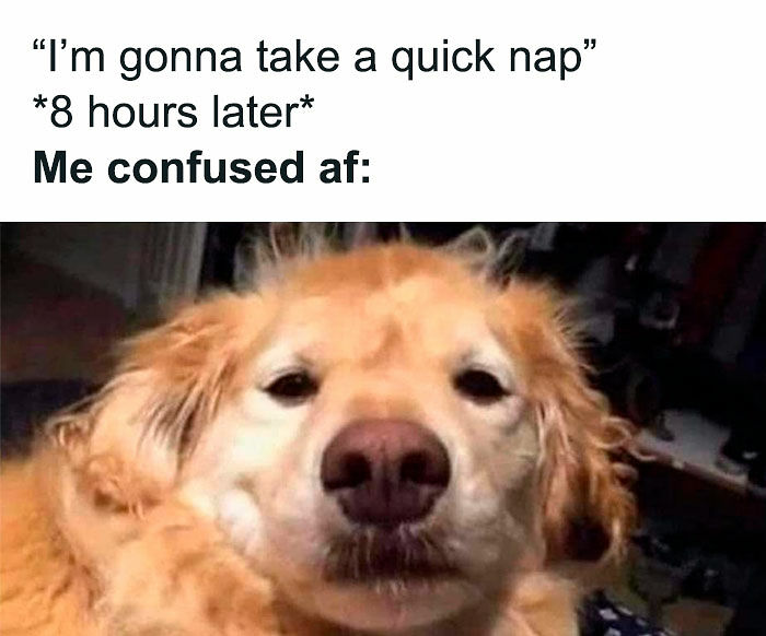 74 Funny Memes That Hit You Right In The “Too Real” Part Of The Brain