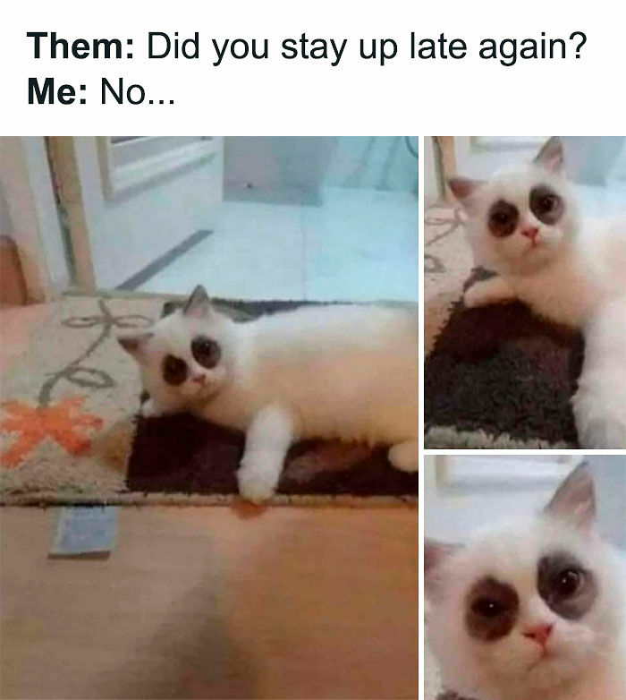 74 Funny Memes That Hit You Right In The “Too Real” Part Of The Brain