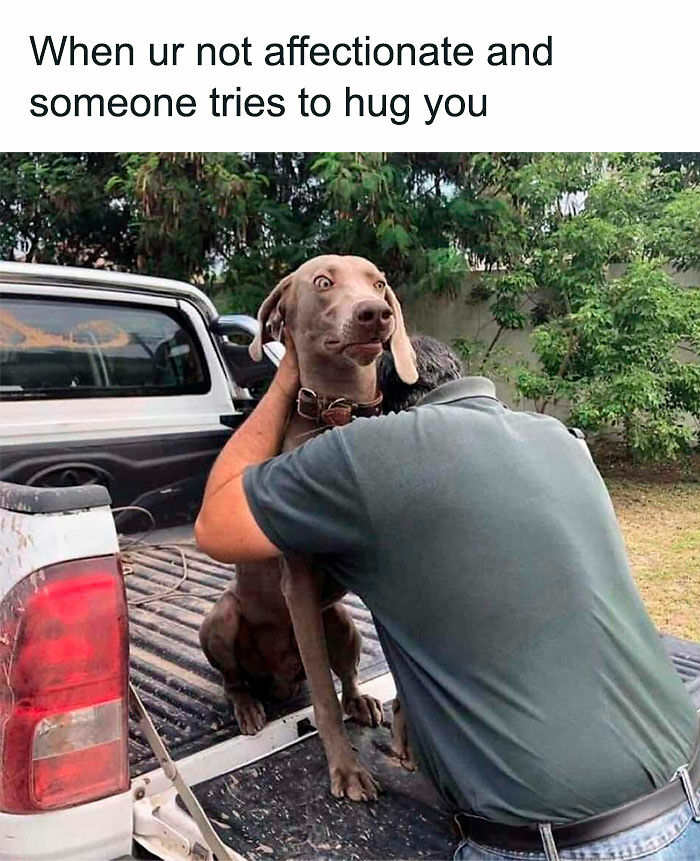 74 Funny Memes That Hit You Right In The “Too Real” Part Of The Brain