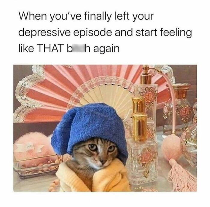 74 Funny Memes That Hit You Right In The “Too Real” Part Of The Brain