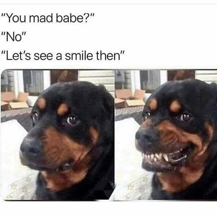 74 Funny Memes That Hit You Right In The “Too Real” Part Of The Brain