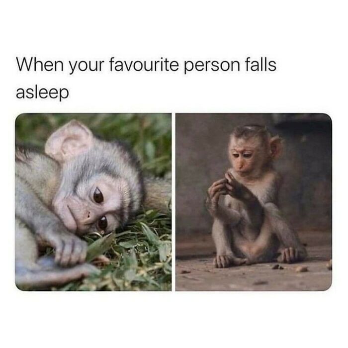 74 Funny Memes That Hit You Right In The “Too Real” Part Of The Brain