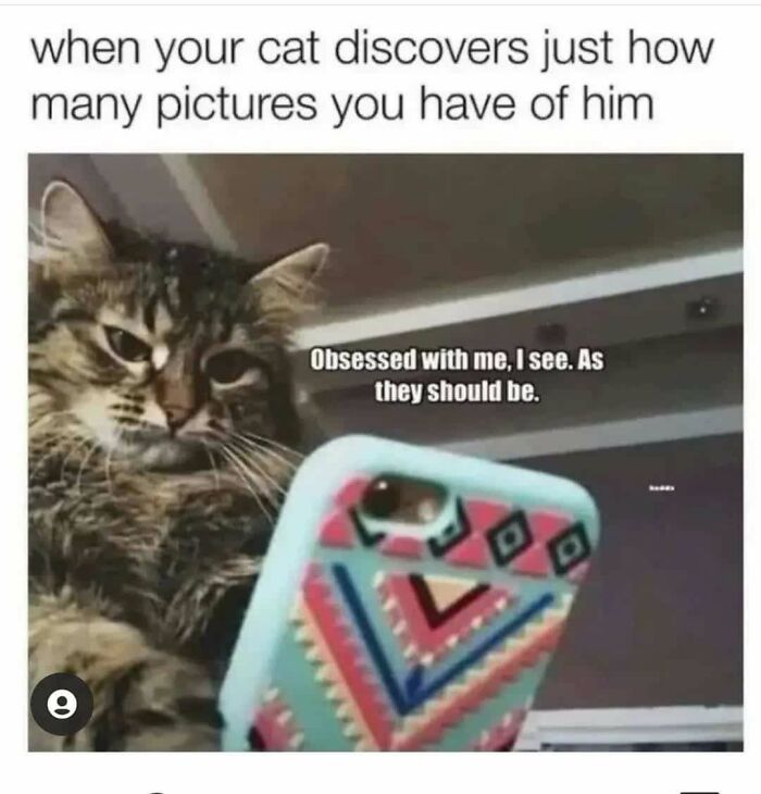 74 Funny Memes That Hit You Right In The “Too Real” Part Of The Brain